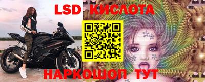 стафф Новодвинск