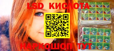 стафф Новодвинск