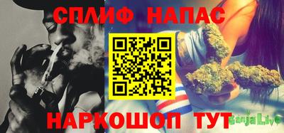 стафф Новодвинск