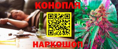 стафф Новодвинск