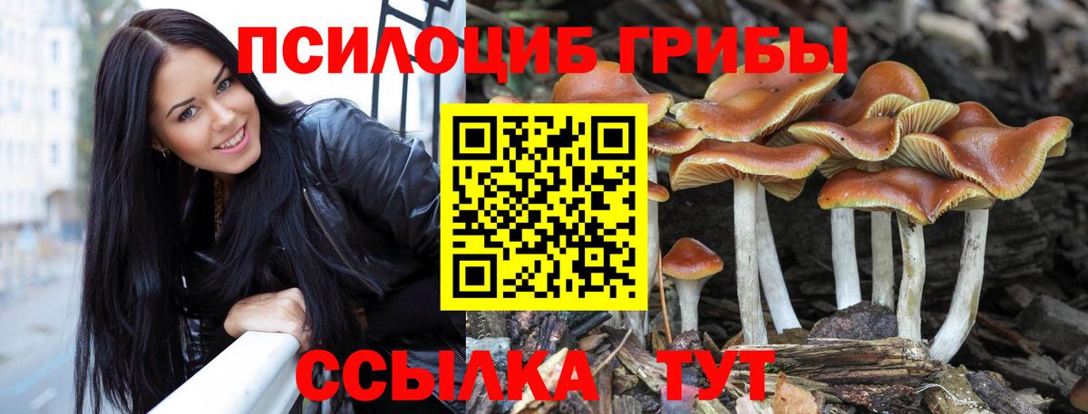 Псилоцибиновые грибы Psilocybine cubensis Оренбург