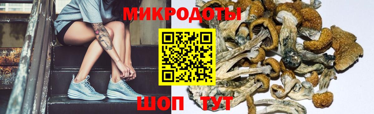 Оренбург  Псилоцибиновые грибы мицелий  Псилоцибиновые грибы ЛСД  Вход с VPN 