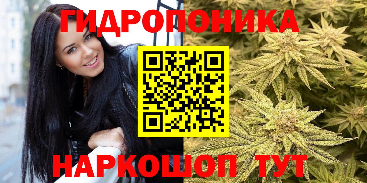 Конопля план  Каннабис марихуана  Оренбург  Шишки марихуана тримм  Вход с VPN 